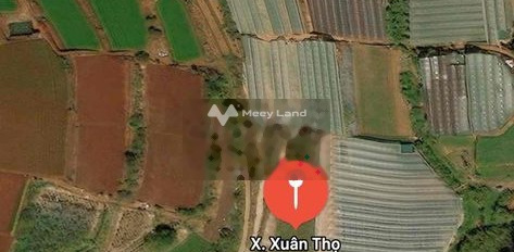 3.7 tỷ bán đất diện tích thực 1999m2 vị trí đặt ở trong Xuân Thọ, Lâm Đồng-03