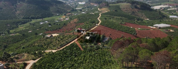 Lâm Hà, Lâm Đồng 9.6 tỷ bán đất có một diện tích 8700m2-03