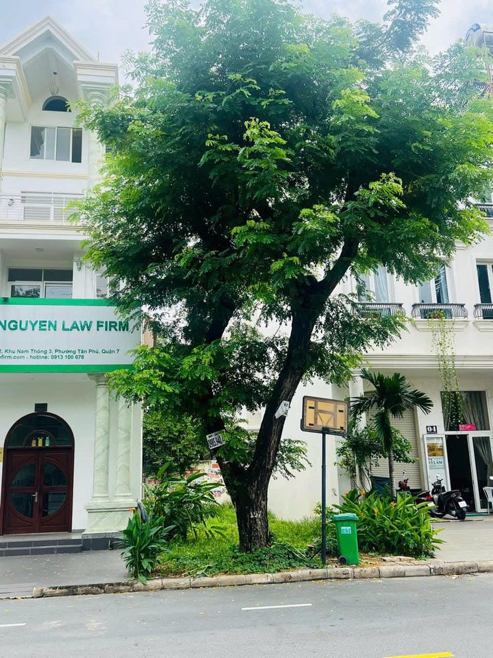 Bán đất quận 7 thành phố Hồ Chí Minh giá 30.0 tỷ-0