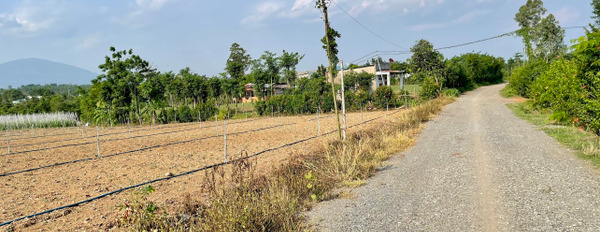 Bán đất vườn có 83m mặt tiền và 300m2 thổ cư, khu dân cư đông đúc tại Xuân Tây, Đồng Nai-02
