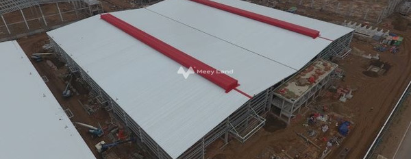 Vị trí đẹp tại Cát Hải, Cát Hải cho thuê kho bãi 110000m2 thuê ngay với giá ngạc nhiên chỉ 13.2 tỷ/tháng lh ngay kẻo lỡ-02