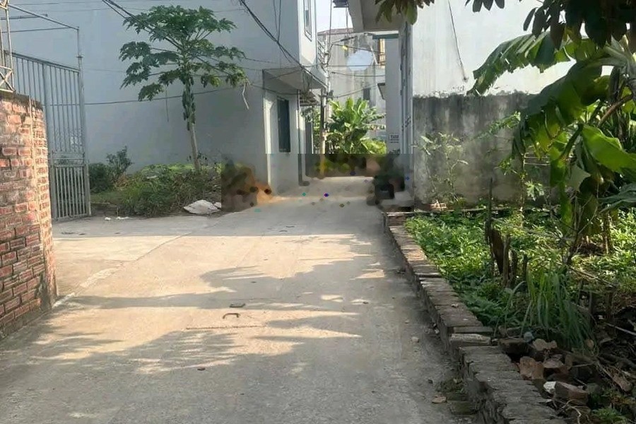 CC cho thuê nhà 50m2 khu vực H Hoài Đức TP Hà Nội -01