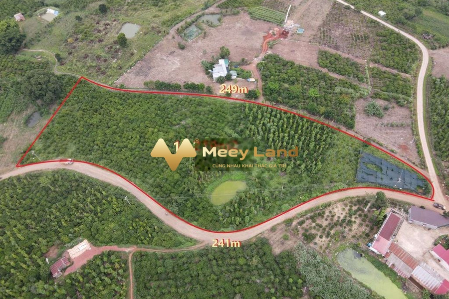 Nằm ở Tân Nghĩa, Lâm Đồng bán đất, giá bán vô cùng rẻ chỉ 15 tỷ diện tích tổng 15219 m2-01