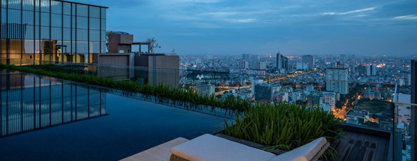 Bán chung cư căn hộ gồm tổng cộng Đã hoàn thiện nội thất. vị trí thuận lợi tọa lạc ngay ở Đa Kao, Hồ Chí Minh giá bán cực mềm 11.6 tỷ-03