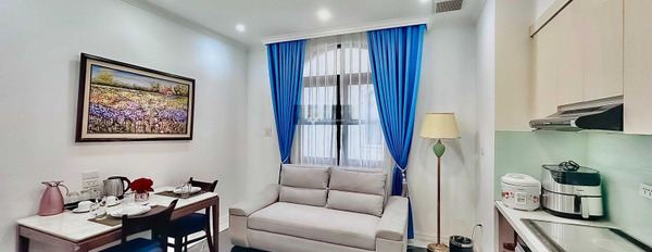 Cho thuê căn hộ có diện tích sàn 45m2 nằm trên Hồng Bàng, Hải Phòng giá thuê rẻ chỉ 17 triệu/tháng-03