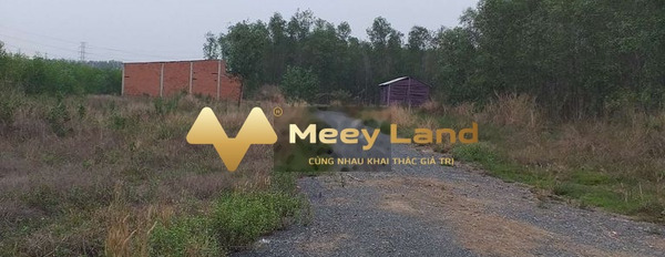 Giá bán vô cùng rẻ chỉ 250 triệu, Bán đất với dt khoảng 100 m2 tại Huyện Vĩnh Cửu, Tỉnh Đồng Nai giá có thể fix-03