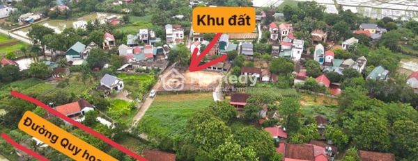 Bán đất tổng diện tích 232m2 mặt tiền nằm ngay tại Thọ Xuân, Thanh Hóa-02