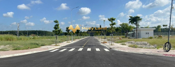 Golden Future City Thị Trấn Lai Uyên, Huyện Bàu Bàng bán đất giá cực kì tốt 700 triệu có diện tích chuẩn 100m2-03