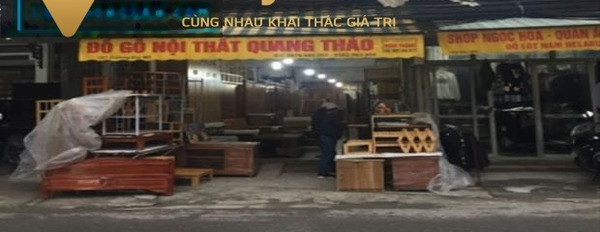 Siêu phẩm mới 1300m2 tọa lạc phường Đại Mỗ gần đường Tố Hữu, 1 sổ đỏ duy nhất 160 tỷ-03