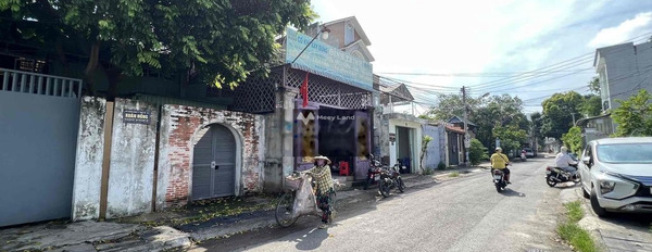 Bán đất mặt tiền đường Nguyễn Công Trứ, Đông Hoà, Dĩ An-03