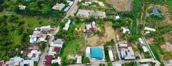 Bán đất Long Phước, Hồ Chí Minh, diện tích 1000m2, giá 19,99 tỷ-02