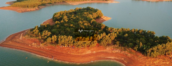 Nằm trong mức 13 tỷ bán đất diện tích khoảng 16274m2 vị trí đẹp ngay ở Bến Nôm, Định Quán-02
