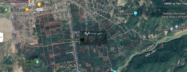 Ea T'Ling, Đắk Nông bán đất giá cơ bản 1.2 tỷ diện tích sàn là 24000m2-03