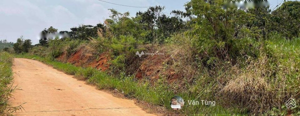Giá bán thương lượng 1.1 tỷ bán đất Diện tích nền 1300m2 vị trí đẹp ngay ở Nam Hà, Lâm Đồng-03
