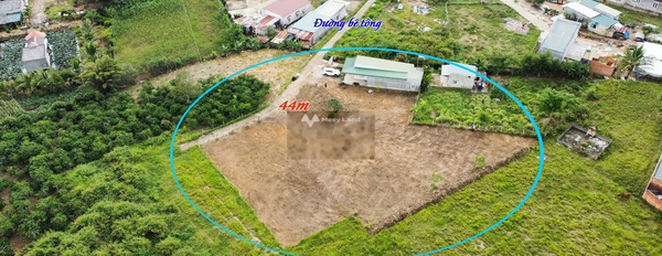 Ninh Gia, Đức Trọng bán đất giá bán mua ngay chỉ 8.5 tỷ, hướng Bắc diện tích mặt tiền 900m2-02