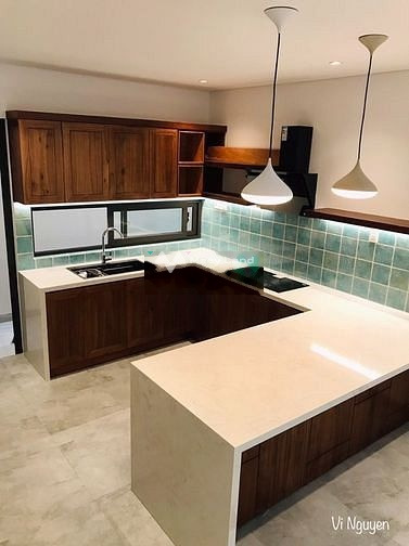 Có diện tích chính 200m2, cho thuê nhà ở vị trí đẹp ngay tại Hải Châu, Đà Nẵng, trong nhà tổng quan bao gồm 3 PN, 3 WC vị trí siêu đẹp-01