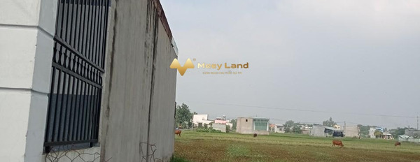 Huyện Đức Hòa, Tỉnh Long An bán đất giá mua ngay chỉ 1 tỷ, hướng Đông diện tích khoảng 98m2-02