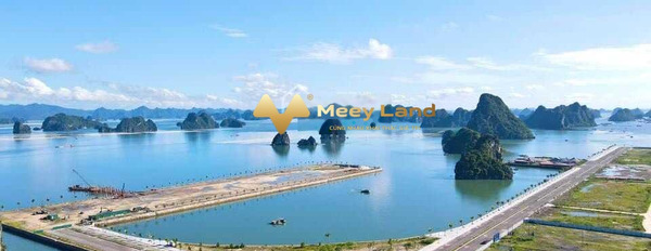 Bán đất dt thực 144 m2 vị trí thuận lợi tọa lạc ngay ở Huyện Vân Đồn, Tỉnh Quảng Ninh, hướng Nam lh tư vấn thêm-02