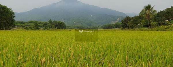 Ngay Hòa Phú, Hòa Vang bán đất 1.1 tỷ, hướng Tây Nam có diện tích chung 233m2-02
