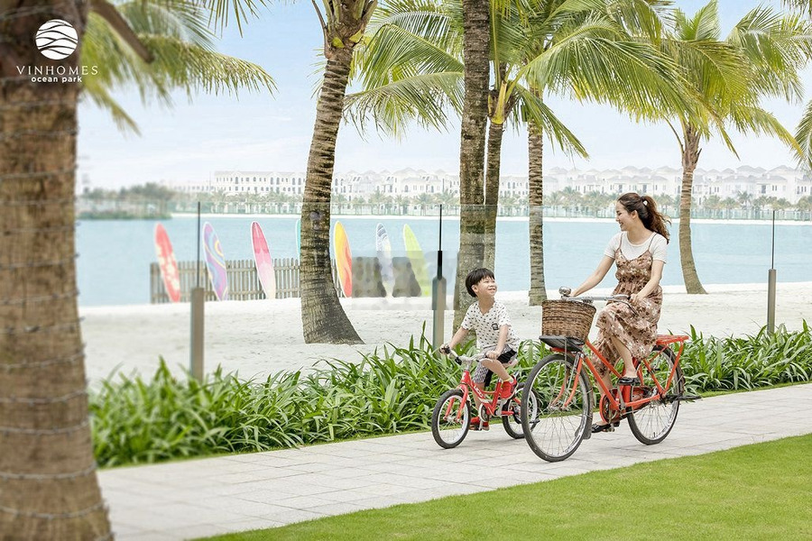 Chính Chủ: PHÒNG KHÁCH RỘNG NHẤT VINHOMES OCEAN PARK 1 & BẾP 4M -01