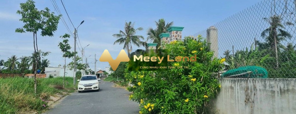 Bán đất Long Sơn, Cần Đước, diện tích 132m2, giá 1,03 tỷ-02