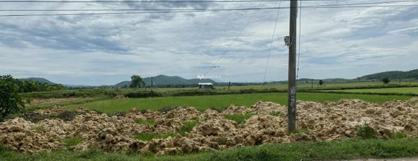 Nằm tại Ninh Xuân, Ninh Hòa bán đất 1.6 tỷ Diện tích đất 1800m2-02