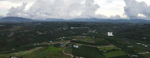 21.1 tỷ bán đất có diện tích thực là 3898m2 vị trí ngay Lộc Quảng, Lâm Đồng-02