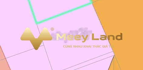 Tọa lạc trên Long Tân, Nhơn Trạch bán đất, giá bất ngờ 20 tỷ với dt thực 1998m2-02