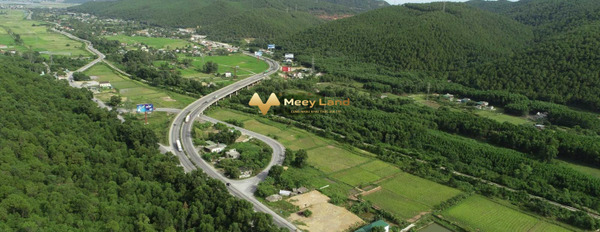 Cần tiền xoay sở bán mảnh đất, 1324 m2 giá bán tốt từ 6.8 tỷ vị trí mặt tiền ngay trên Đường Quốc Lộ 1A, Tỉnh Nghệ An khu vực tiềm năng-03