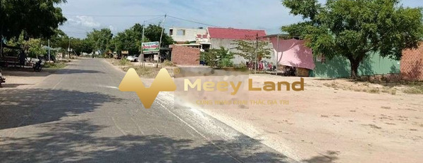 Do cần gấp tiền bán đất Xã Bình Thành, Huyện Tây Sơn giá tốt 515 triệu có dt chung là 100 m2-03
