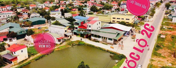 Cần bán đất vị trí thuận lợi tọa lạc trên Thanh Vân, Tam Dương. Diện tích 92,5m2-02