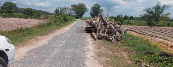 Mặt tiền đường nhựa, đất full thổ, sổ hồng riêng mà giá chỉ từ 5xxtr x tiểu học -03