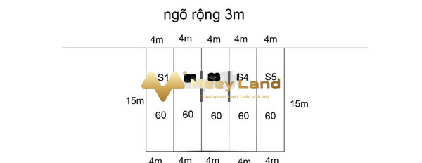 Vị trí đẹp ngay Đặng Cương, An Dương bán đất giá cực kì tốt 435 triệu có dt sàn 60 m2-03