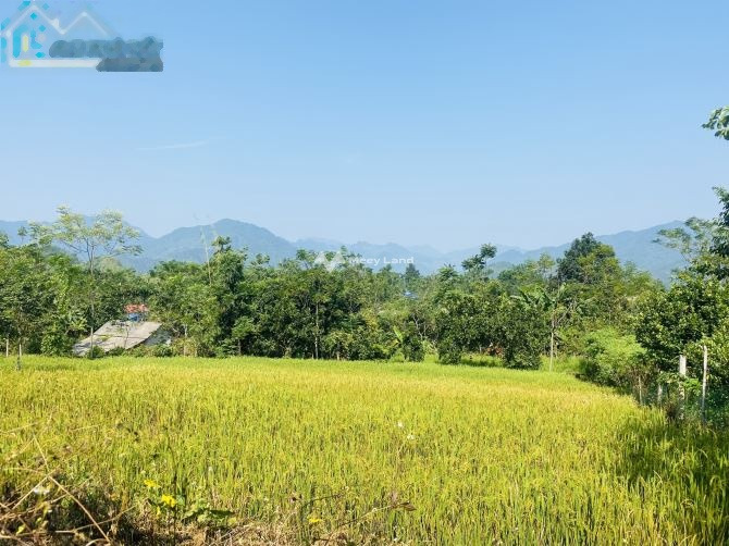 Nằm tại Đà Bắc, Hòa Bình bán đất 4.5 tỷ diện tích là 13000m2-01