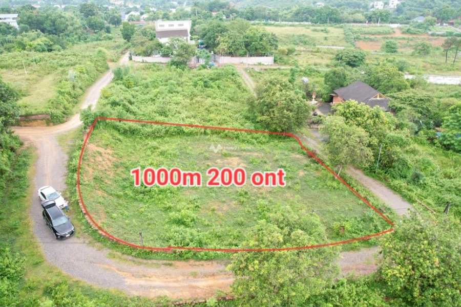 Bán nhà ở diện tích rộng 1000m2 bán ngay với giá hiện tại 3 tỷ vị trí đặt ngay Cư Yên, Lương Sơn, hướng Đông nam, lộ 7 mét-01
