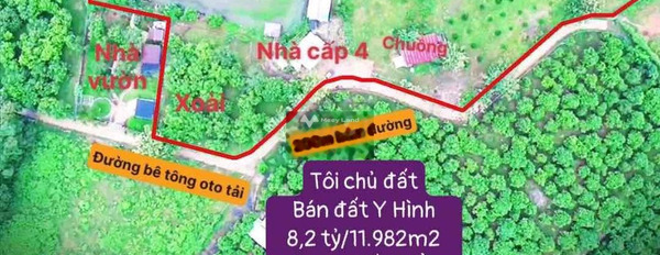 Vị trí đặt tọa lạc trên La Ngà, Định Quán bán đất giá chính chủ chỉ 8.2 tỷ diện tích thực là 11982m2-02