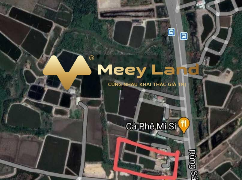 Xã Bình Khánh, Hồ Chí Minh 30.73 tỷ bán đất có dt chung là 4728 m2-01