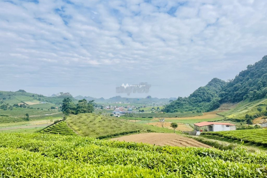 Bán đất vị trí đặt vị trí nằm ở Mộc Châu, Sơn La. Diện tích 3400m2-01