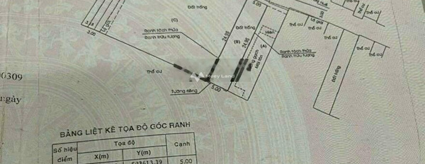 Bán đất 4.3 tỷ Hóc Môn, Hồ Chí Minh có diện tích quy ước 124.7m2-02