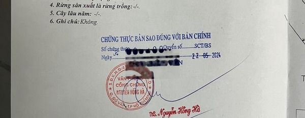 bán nhà hẻm xe hơi đường bạch đằng sân bay tân sơn nhất bệnh viện 175 -03