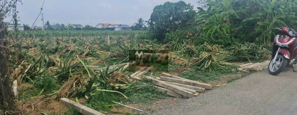 Chính chủ bán đất Châu Thành, Long An giá bán thương mại từ 499 triệu với diện tích là 170m2-03