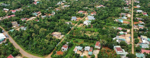 Bán đất 899 triệu Krông Pắc, Đắk Lắk có diện tích là 300m2-03