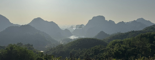Cao Phong, Hòa Bình bán đất giá bán khuyến mãi 380 triệu diện tích mặt tiền 19000m2-03