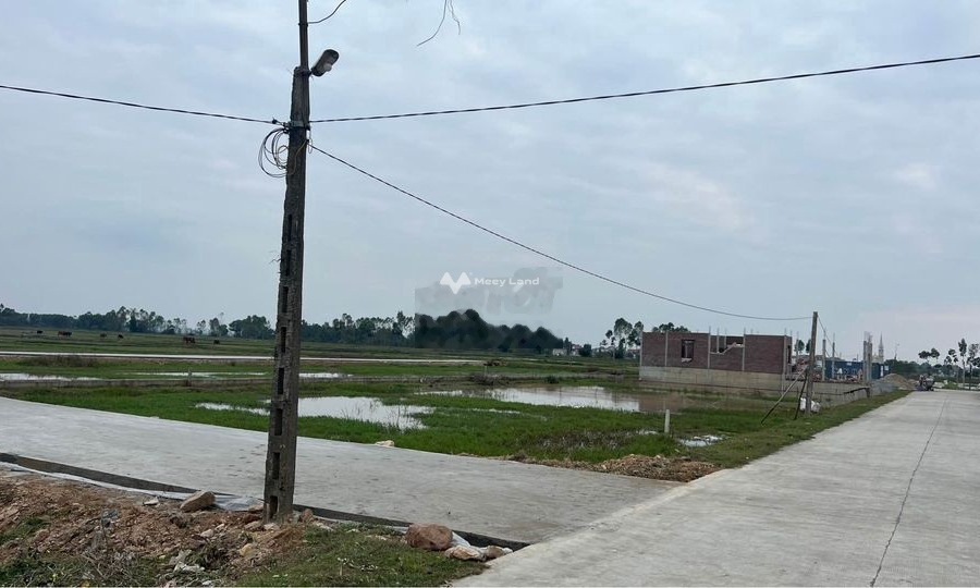 920 triệu bán đất có diện tích trung bình 198m2 vị trí mặt tiền tọa lạc ngay tại Thị Trấn Nghèn, Can Lộc-01