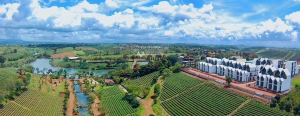 Vị trí tiện lợi Lộc Tân, Lâm Đồng bán đất, giá khởi điểm từ 666 triệu có diện tích 96m2-02