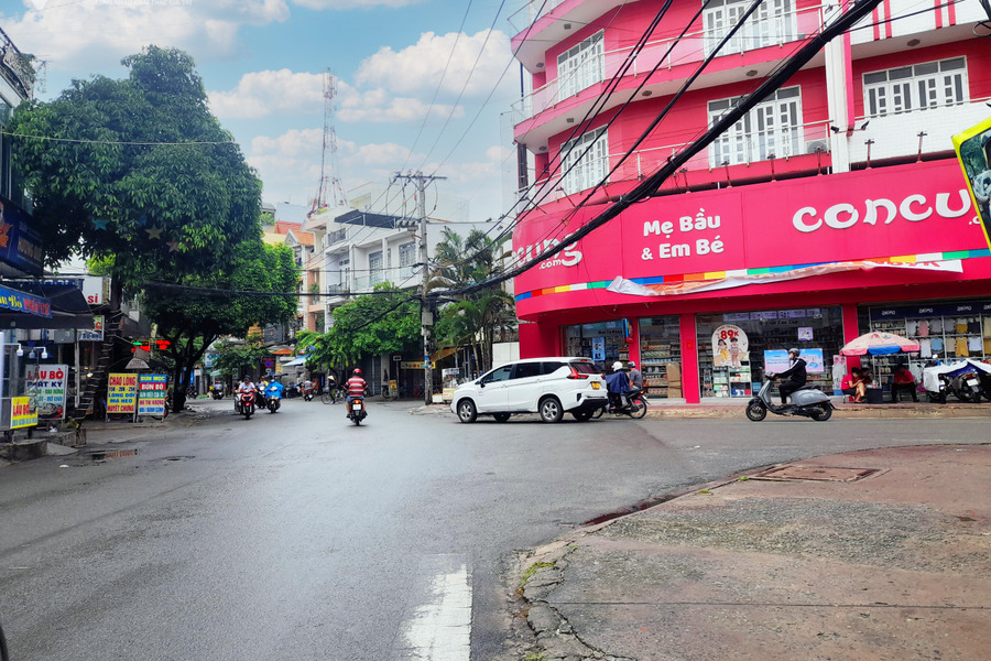 Bán nhà mặt tiền gần Lạc Long Quân diện tích 167m2-01