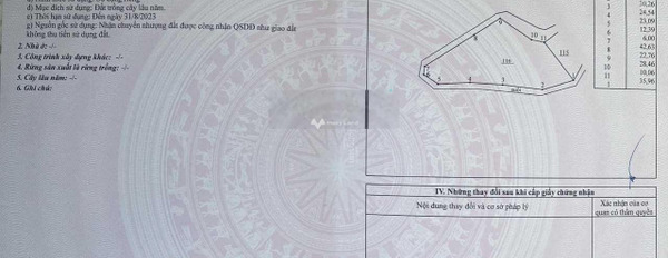 Vị trí đặt ngay Hưng Lộc, Thống Nhất bán đất giá bất ngờ 36 tỷ diện tích là 20000m2-02