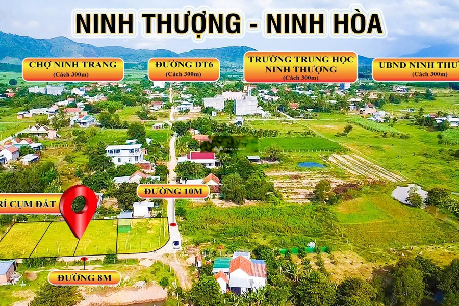 Mặt tiền nằm ở Ninh Thượng, Khánh Hòa bán đất, giá bán tốt chỉ 493 triệu diện tích cụ thể 170m2-01