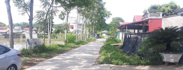 Yên Lập, Phú Thọ bán đất giá bán thỏa thuận từ 930 triệu diện tích đúng với trên ảnh 234m2-02