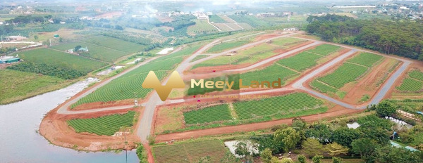 Bán đất giá 650 triệu tại Lý Thái Tổ, Bảo Lộc-03